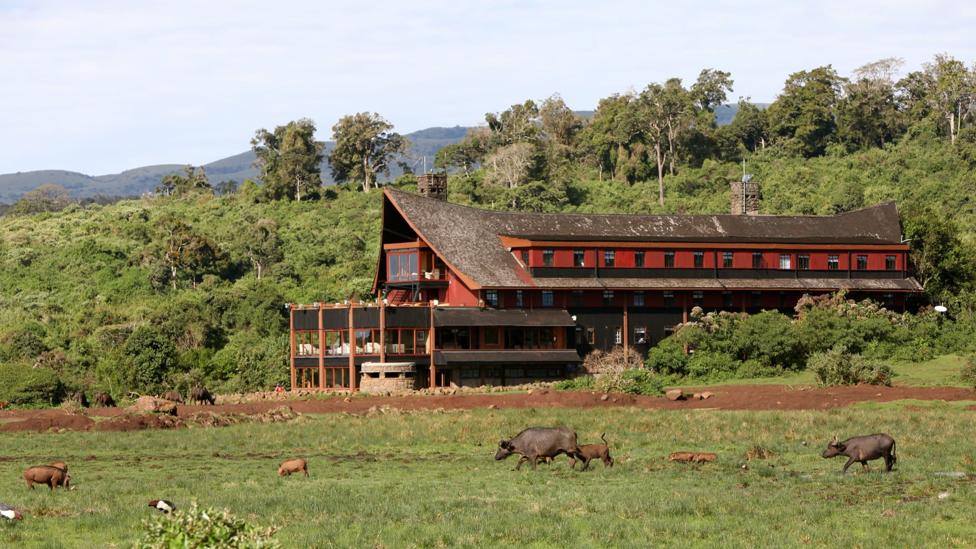 the ark lodge